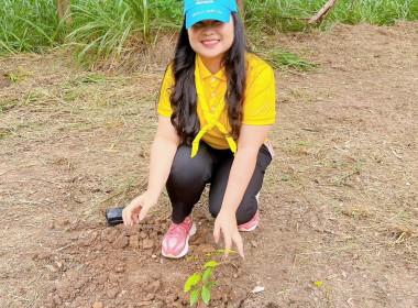 กิจกรรมปลูกต้นไม้เฉลิมพระเกียรติพระบาทสมเด็จพระเจ้าอยู่หัว ... พารามิเตอร์รูปภาพ 16